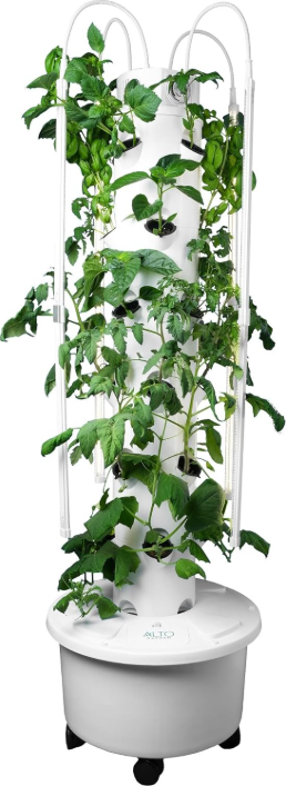 hydroponic garden hydroponic garden