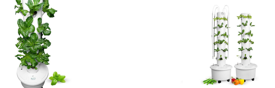 banner_1_v2_white_jpg_1920x620__11974